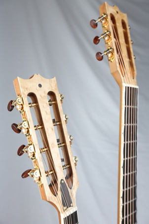 Guitar Heads and Tuners Combolin Heads Web