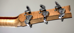 Guitar Heads and Tuners Hybrid Headstock Back