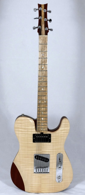 Acoustic Guitar Front Views David Antony Reid Hybrid Electric