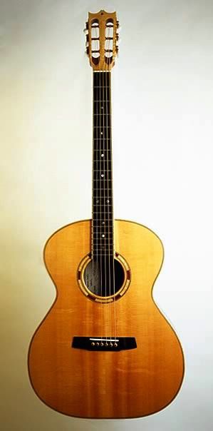 Acoustic Guitar Front Views 10
