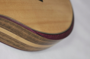 Acoustic Guitar Details Details3