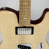 Hybrid Electric Guitars