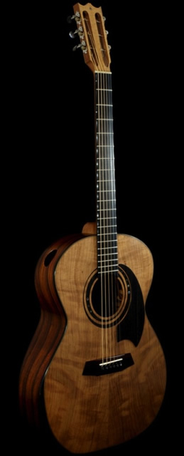 Acoustic Guitar Front Views New Vaultback Side Shot