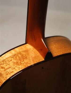 Acoustic Guitar Details Closed Rose Inlay