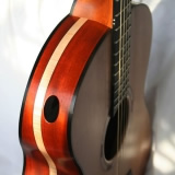 Miscellaneous Fronts