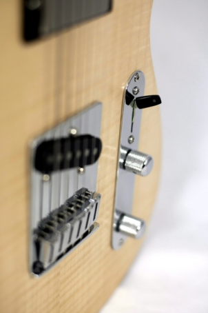 Acoustic Guitar Details Switch Detail