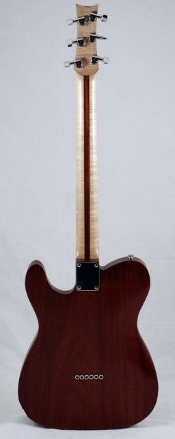 Hybrid Electric Guitar Full Back